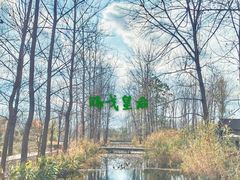 -溱湖国家湿地公园