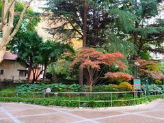 -华山儿童公园