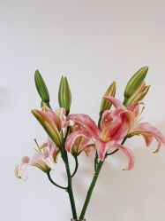 -美肤盾祛痘·问题肌头疗管理中心