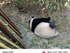 -红山森林动物园