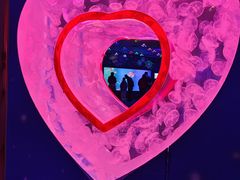 -多彩贵州城极地海洋世界