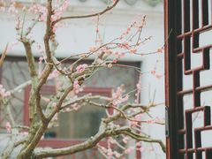-沧浪亭