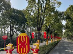 -上海海湾国家森林公园