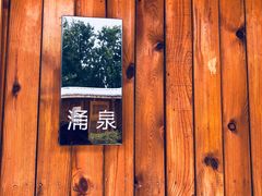 -午后庭院