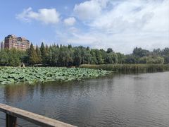 -前关湿地公园