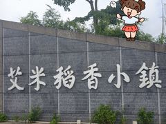 -风云岭森林公园