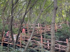 -大岭沟猕猴桃谷风景区