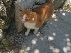 -北京凤凰岭