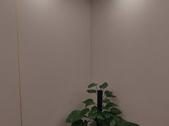 -鲁宴·鲁煨黄河生态大鲤鱼(月坛店)