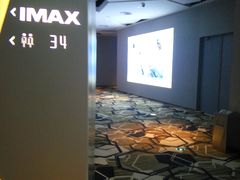 -星河寰宇IMAX影城(星河WORLD·COCO Park店)