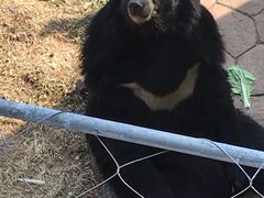 -无锡动物园·太湖欢乐园