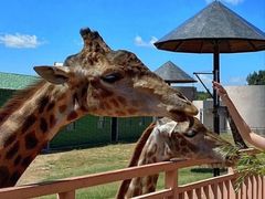 -鄂尔多斯野生动物园