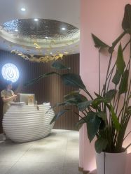 -MUSES专业脱毛比基尼サロン日式连锁