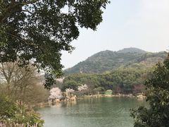 -白马涧龙池景区