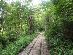 -五营国家森林公园