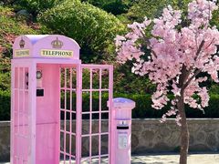 -石岛赤山风景区