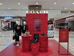 -COACH蔻驰(星光68广场店)