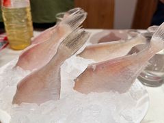 -九码头重庆毛肚火锅(棠岗店)