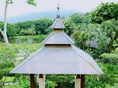 -四季酒店下午茶