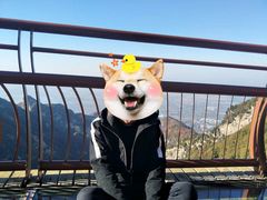 -少华山国家森林公园