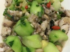 丝瓜田鸡-石头咕(葵蓬店)