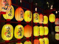 -武汉园博园(武汉自然博物馆)
