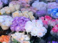 -花鸟鱼虫鲜花绿植市场(玉泉路店)