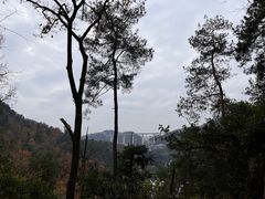 -黔灵山公园