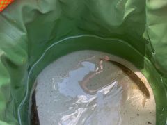 -白河湾生态旅游一条川
