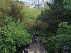 景点-峙山公园