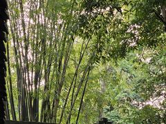 -成都杜甫草堂博物馆
