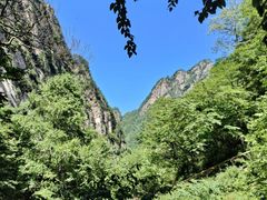 -青峰峡国家森林公园