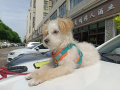 -佳怡动物医院·平价24小时·猫专科骨外科