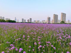 -山明水秀大饭店