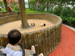 -造物庄园 萌宠纪(苏州湾歌林公园店)