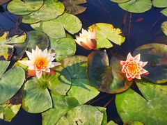 -华南国家植物园-售票处