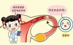 -邢台妇产医院