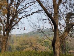 -东湖磨山景区