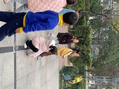 -乐之源小学课后高端托管(德胜门中心)