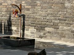 -清真·老兰家(兴善寺西街总店)