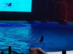 -波塞冬旅游度假区