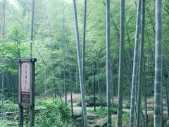 -黄公望隐居地