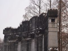 -音乐台