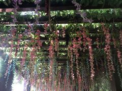 -郑州方特水上乐园