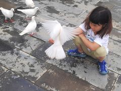 -天津妈祖文化园