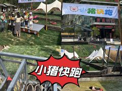 -栾川竹海野生动物园