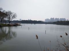 -昆山城市生态森林公园