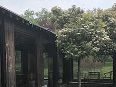 -东园小馆·早茶·淮扬小炒(宋夹城店)