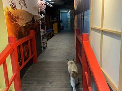 -白兔子密室(长寿路店)