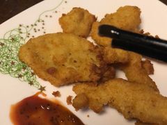 -猫十亿·布偶金渐层·曼基康矮脚猫舍(青年路店)